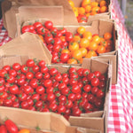 cherry piccolo heirloom tomatoes at Mediterranean spanish market